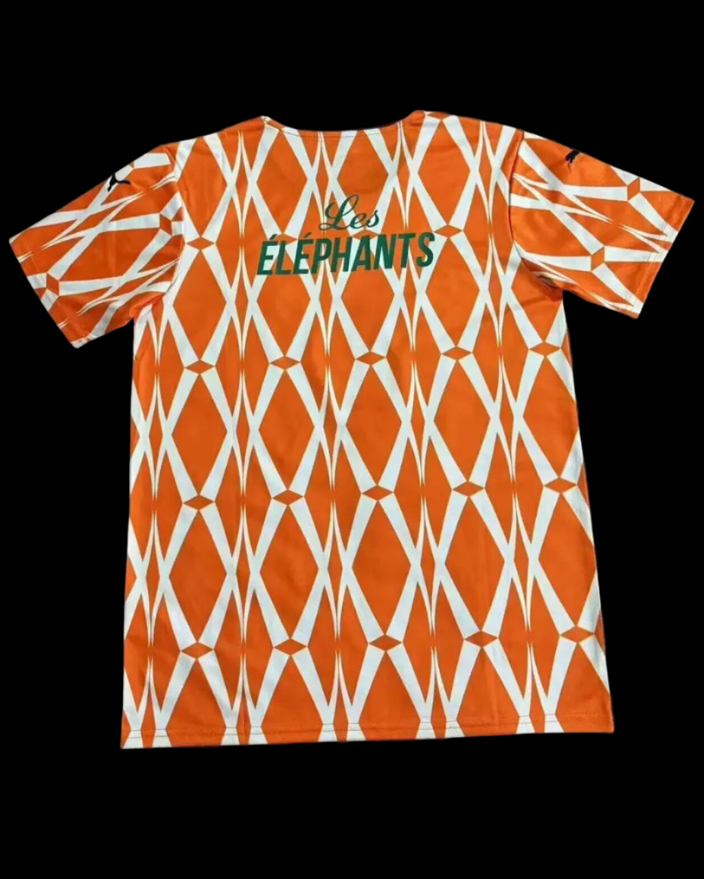 2025 Ivory Coast special fans version jersey