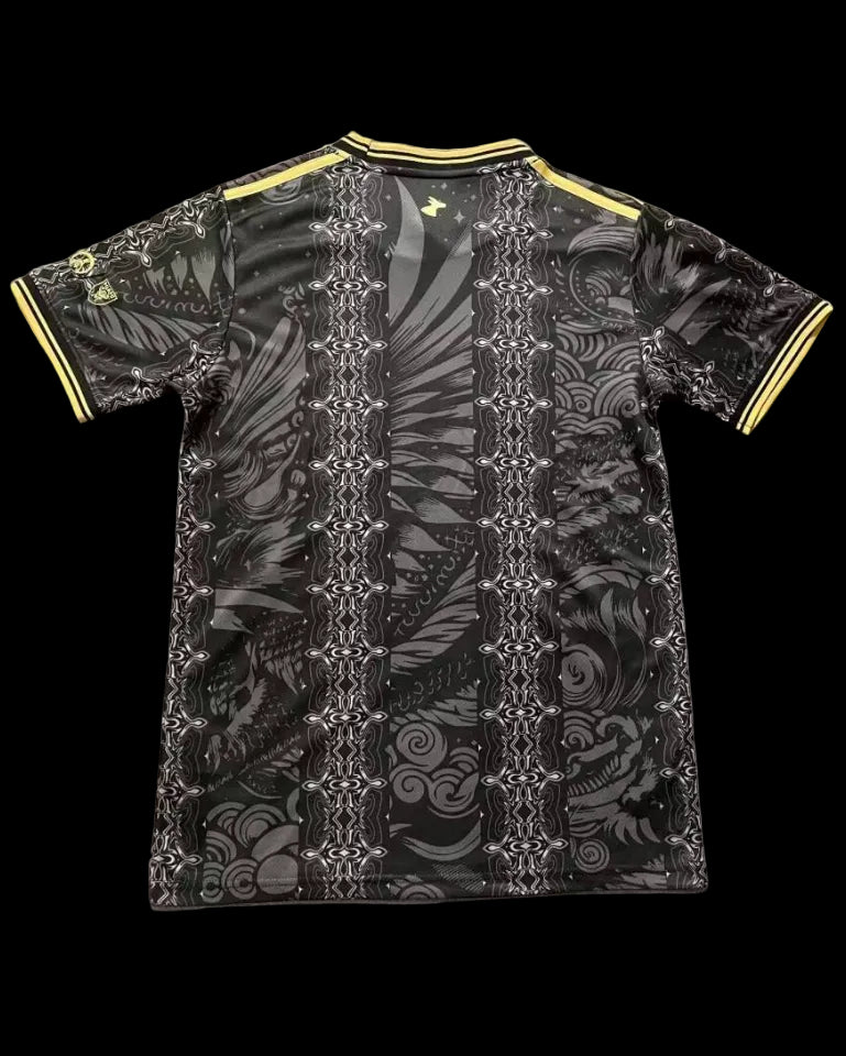 2026 Argentina special fans version jersey