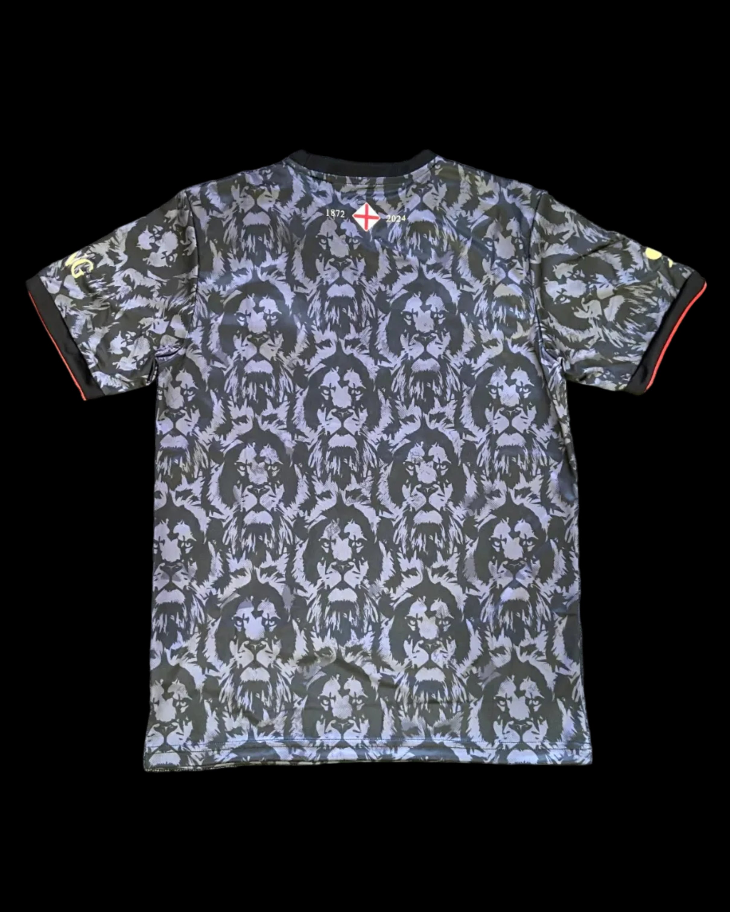 2024 England special fans version jersey
