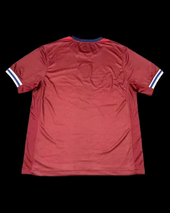 2024 Norway home fans version jersey