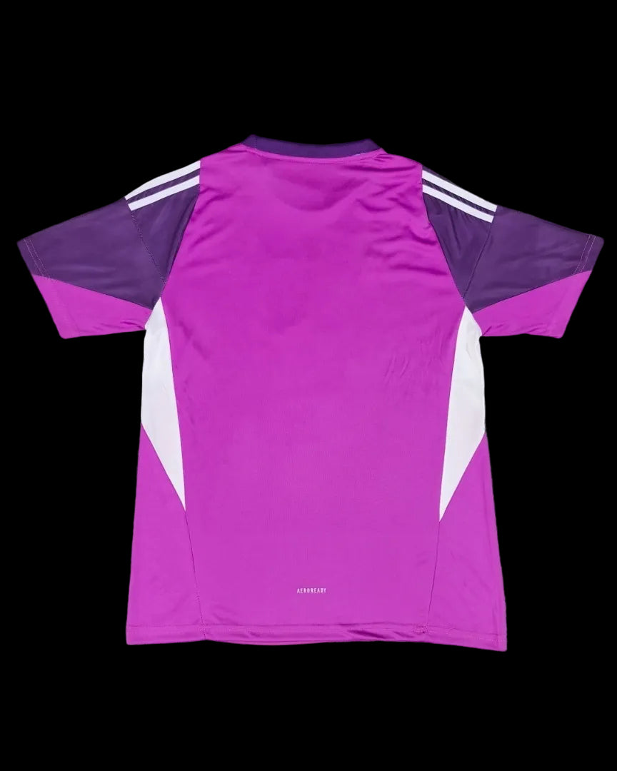 2025 Argentina goalkeeper fans version jersey