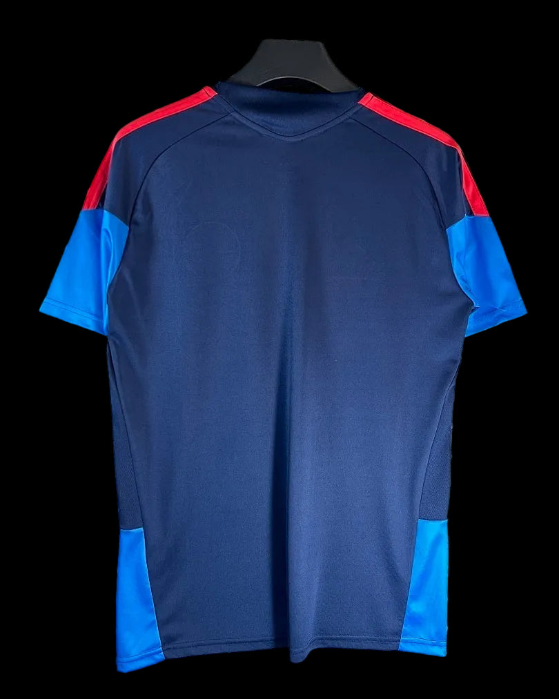 2026 Colombia Special Fan Version Jersey