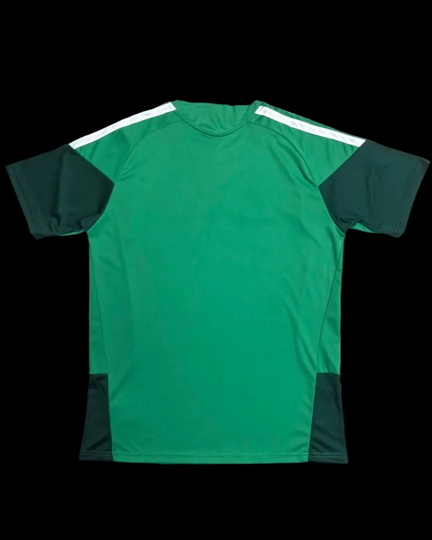 2026 Algeria training fans version jersey