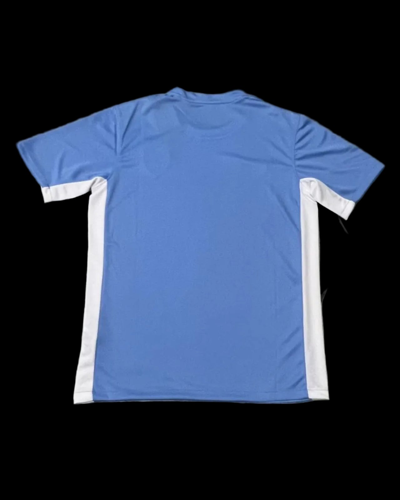 2025 Uruguay home fans version jersey