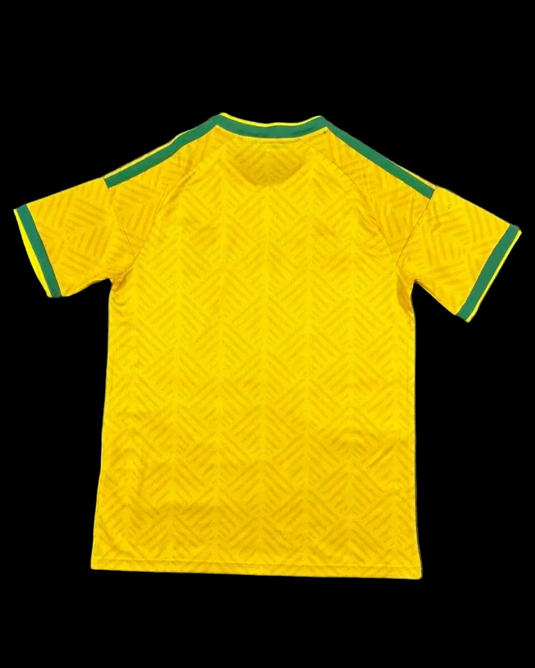 2026 South Africa Home Fans Version Jersey