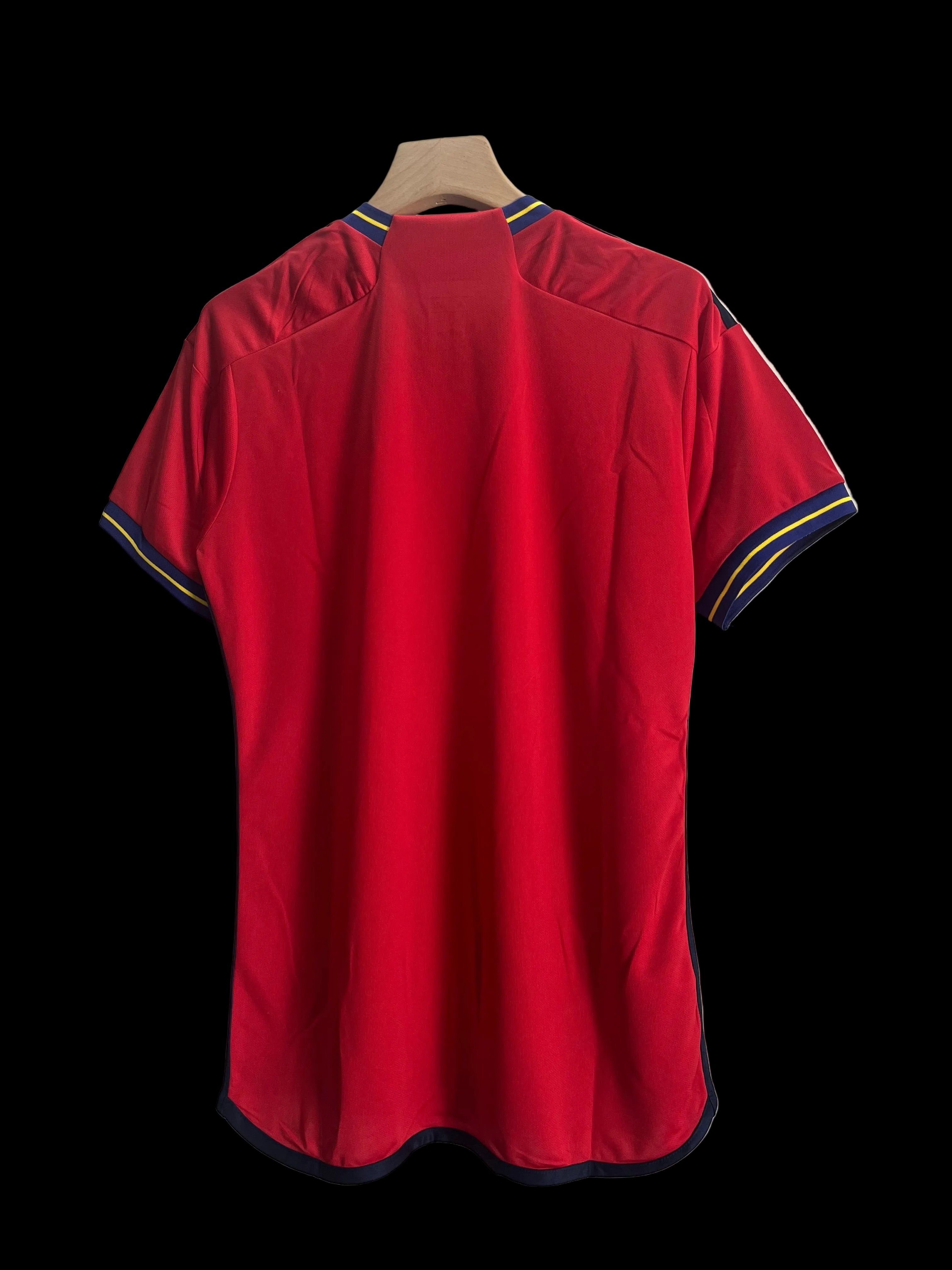 2024 Spain special fans version jersey