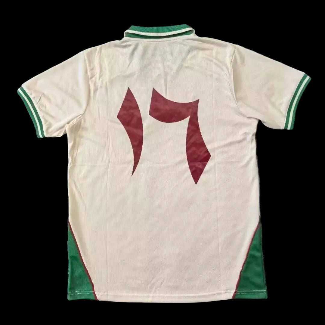 2026 Palestine special fans version jersey