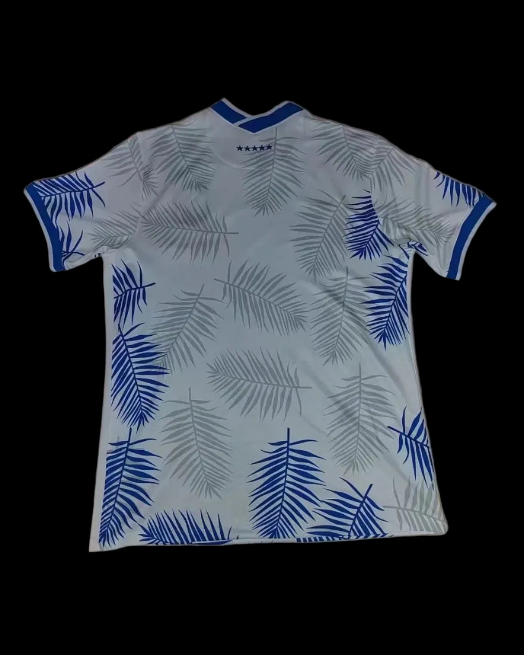 Brazil fans' 2022 special edition jersey