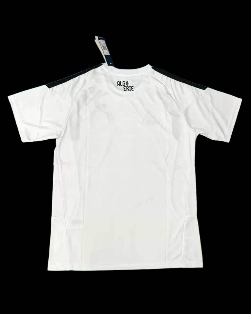 2026 Algeria special fans version jersey