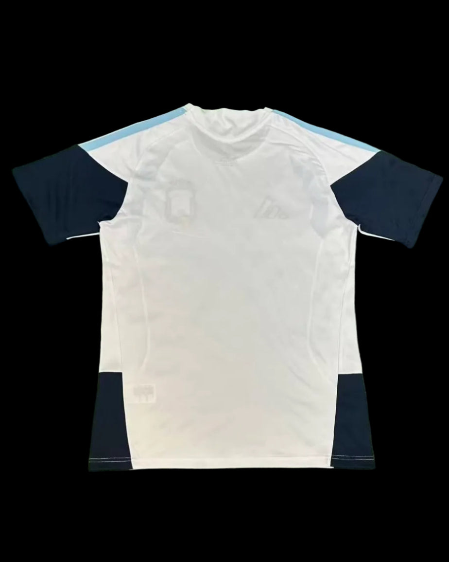 2026 Argentina Training Fan Version Jersey