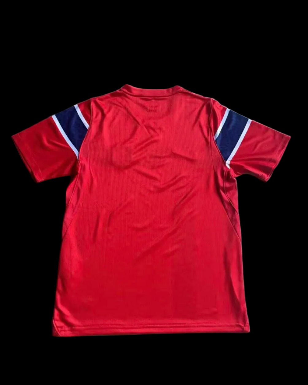 2026 Norway home fans version jersey