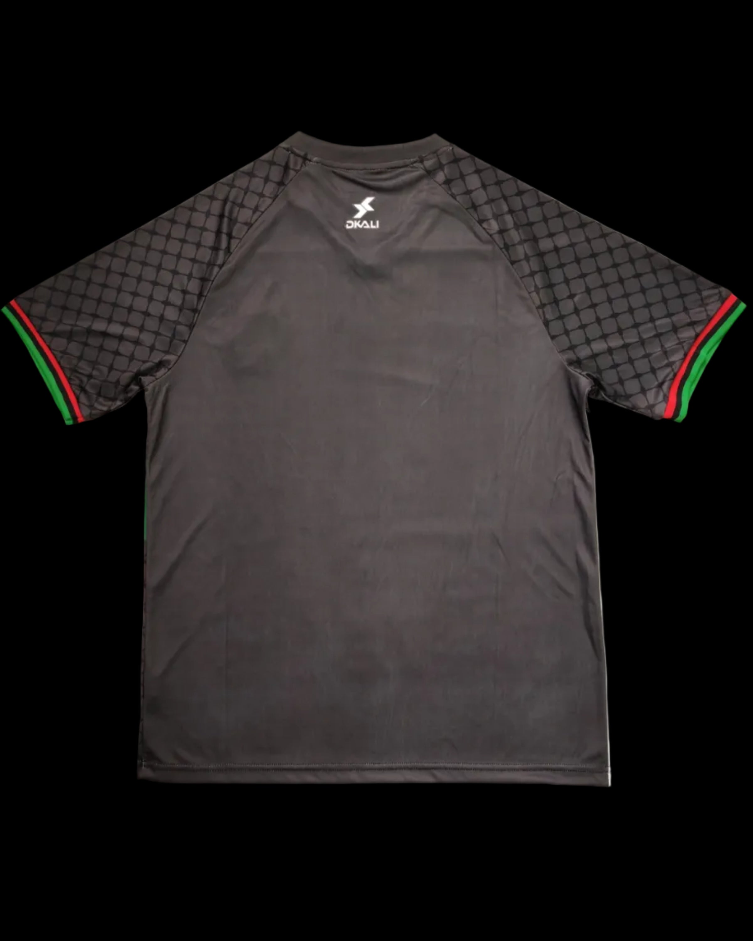 2025 Palestine special fans jersey