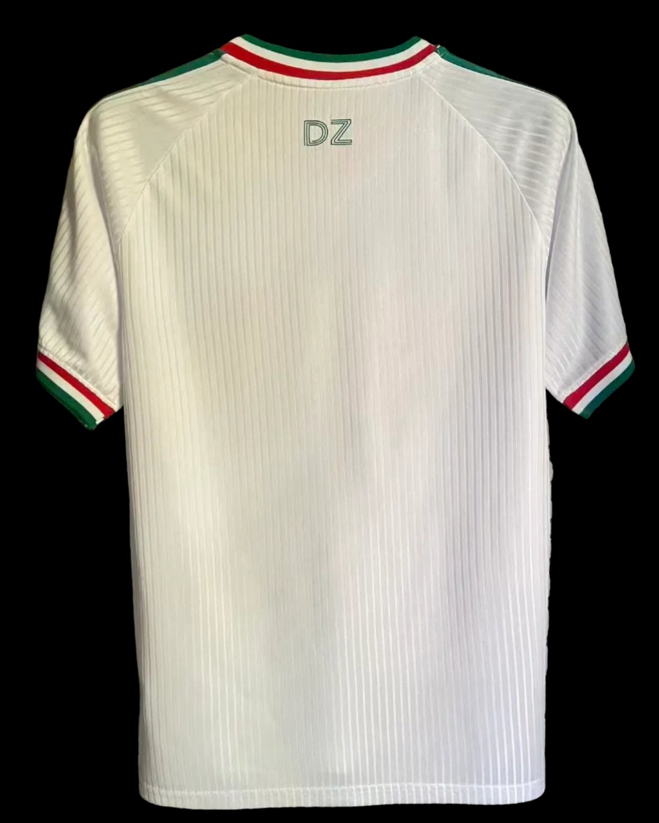 2026 Algeria special fans version jersey