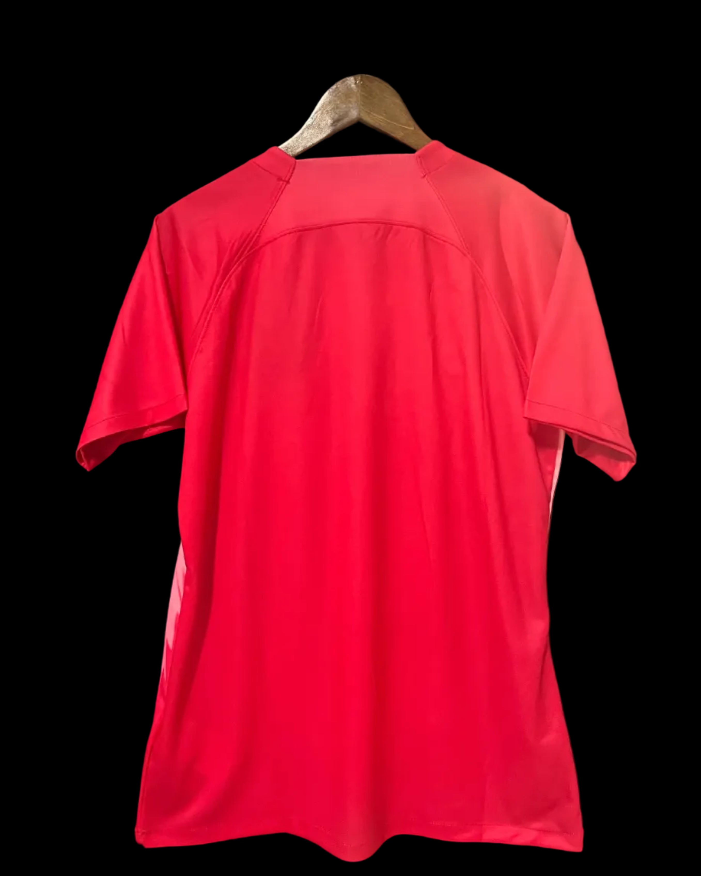 2024 Netherlands special fans version jersey