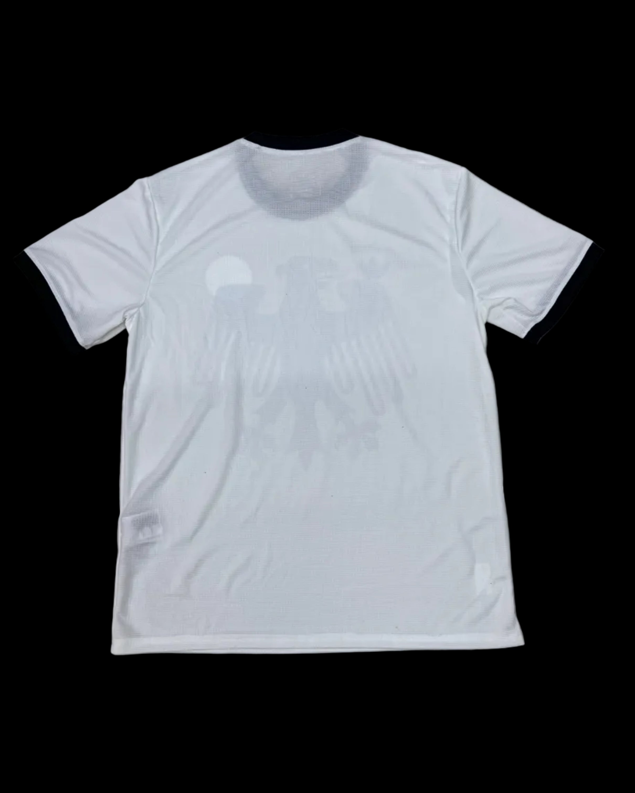 2025 Germany special fans version jersey
