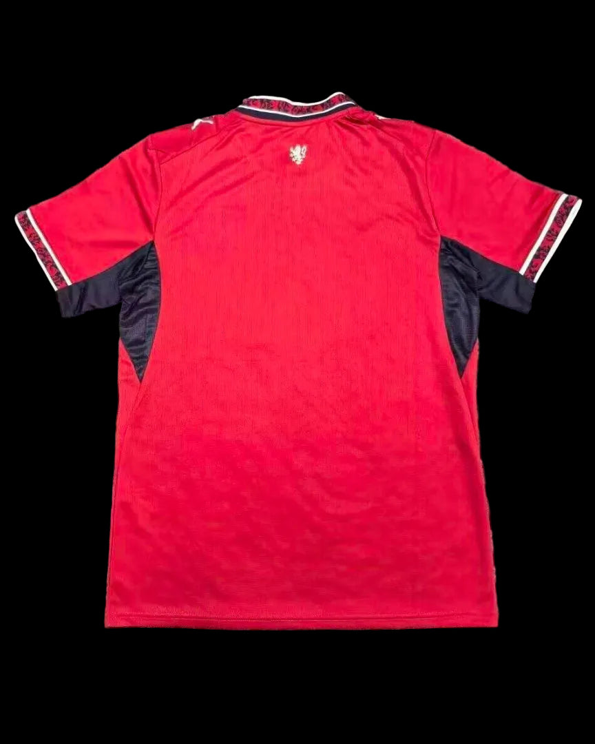 2026 Czech Republic home fans version jersey