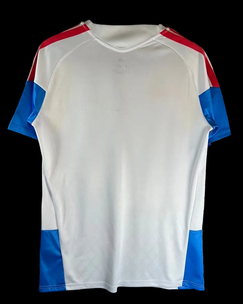2026 Colombia special fan version jersey